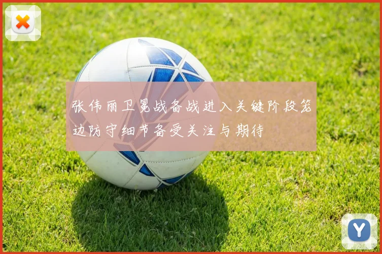 张伟丽卫冕战备战进入关键阶段笼边防守细节备受关注与期待