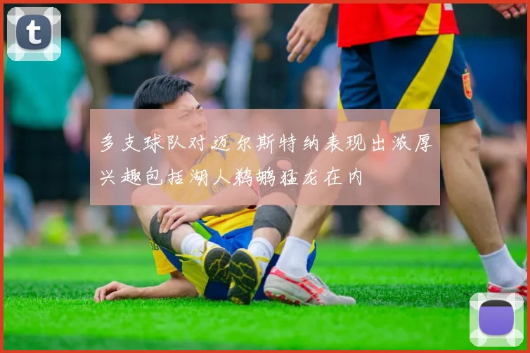 多支球队对迈尔斯特纳表现出浓厚兴趣包括湖人鹈鹕猛龙在内