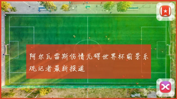 阿尔瓦雷斯伤情无碍世界杯前景乐观记者最新报道