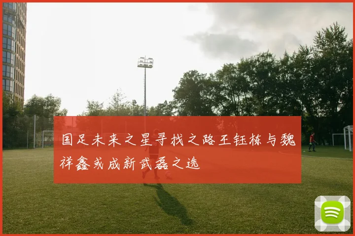 国足未来之星寻找之路王钰栋与魏祥鑫或成新武磊之选