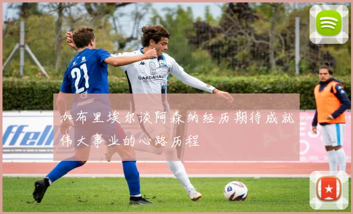 加布里埃尔谈阿森纳经历期待成就伟大事业的心路历程